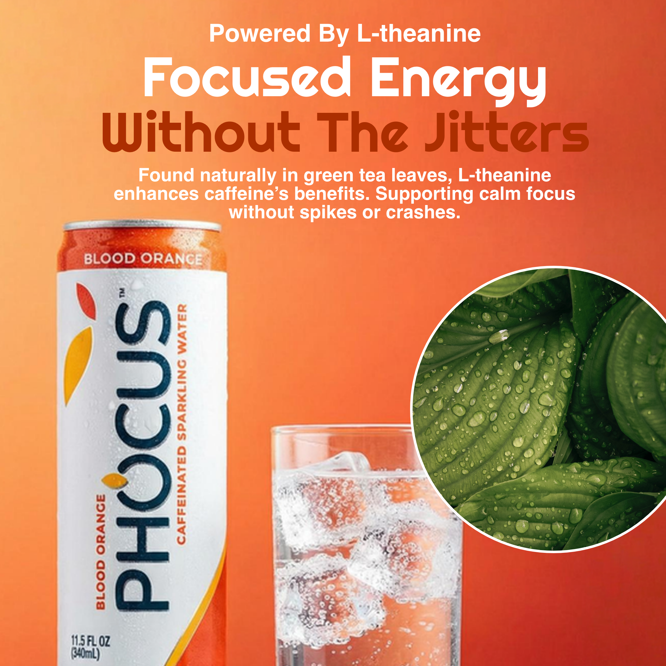 A PHOCUS Blood Orange caffeinated sparkling water can on an orange gradient background, next to a glass of clear iced water and a circular inset showing green tea leaves. Text reads 'Powered By L-theanine' and 'Focused Energy Without The Jitters'.