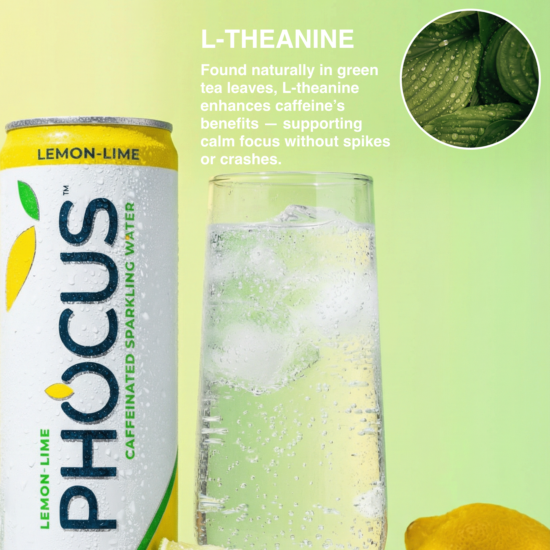 Can of PHOCUS lemon-lime caffeinated sparkling water with a glass of the drink on a green background.