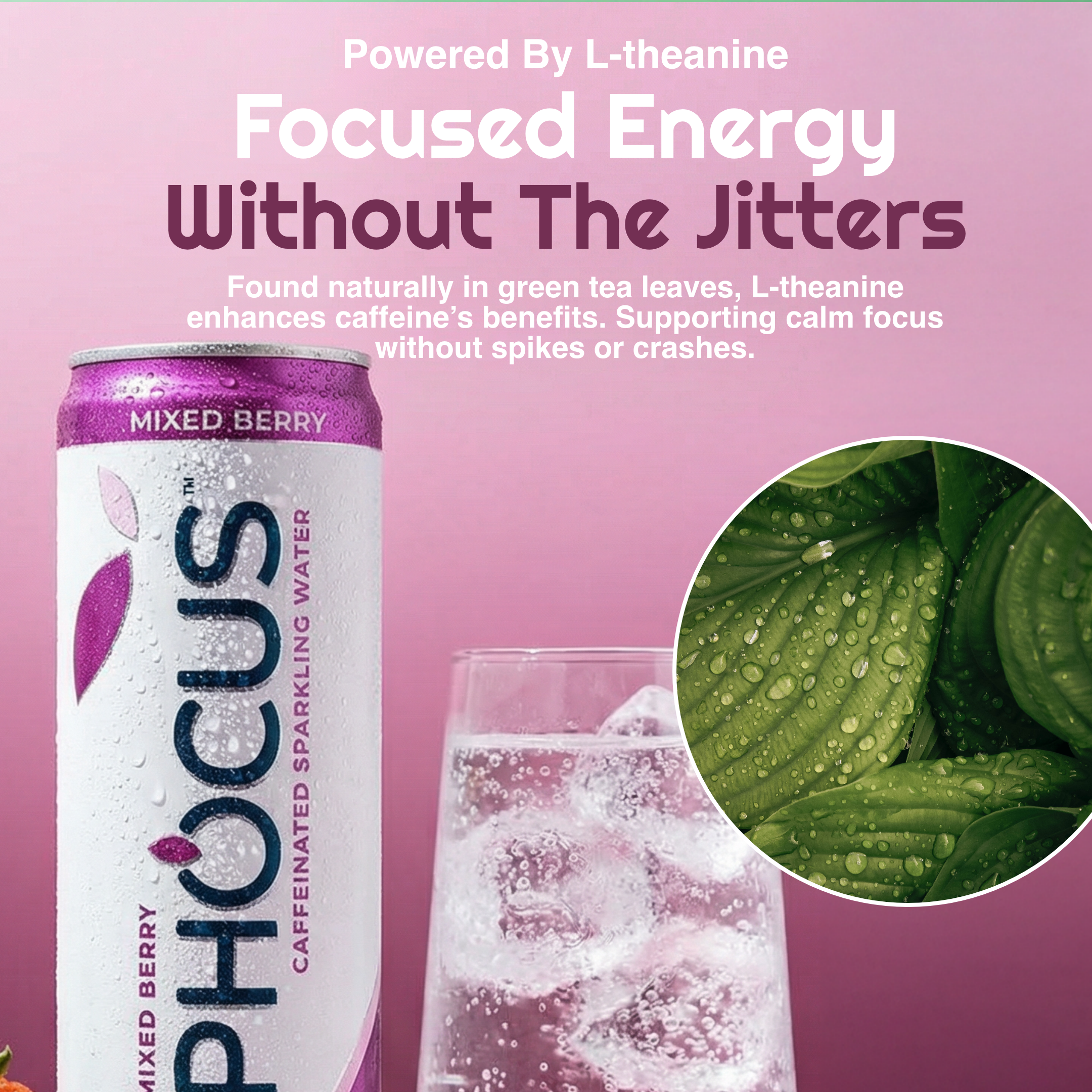 Phocus Mixed Berry caffeinated sparkling water can on a pink background with promotional text, a glass of pink drink with ice, and a circular inset showing green leaves with water droplets.